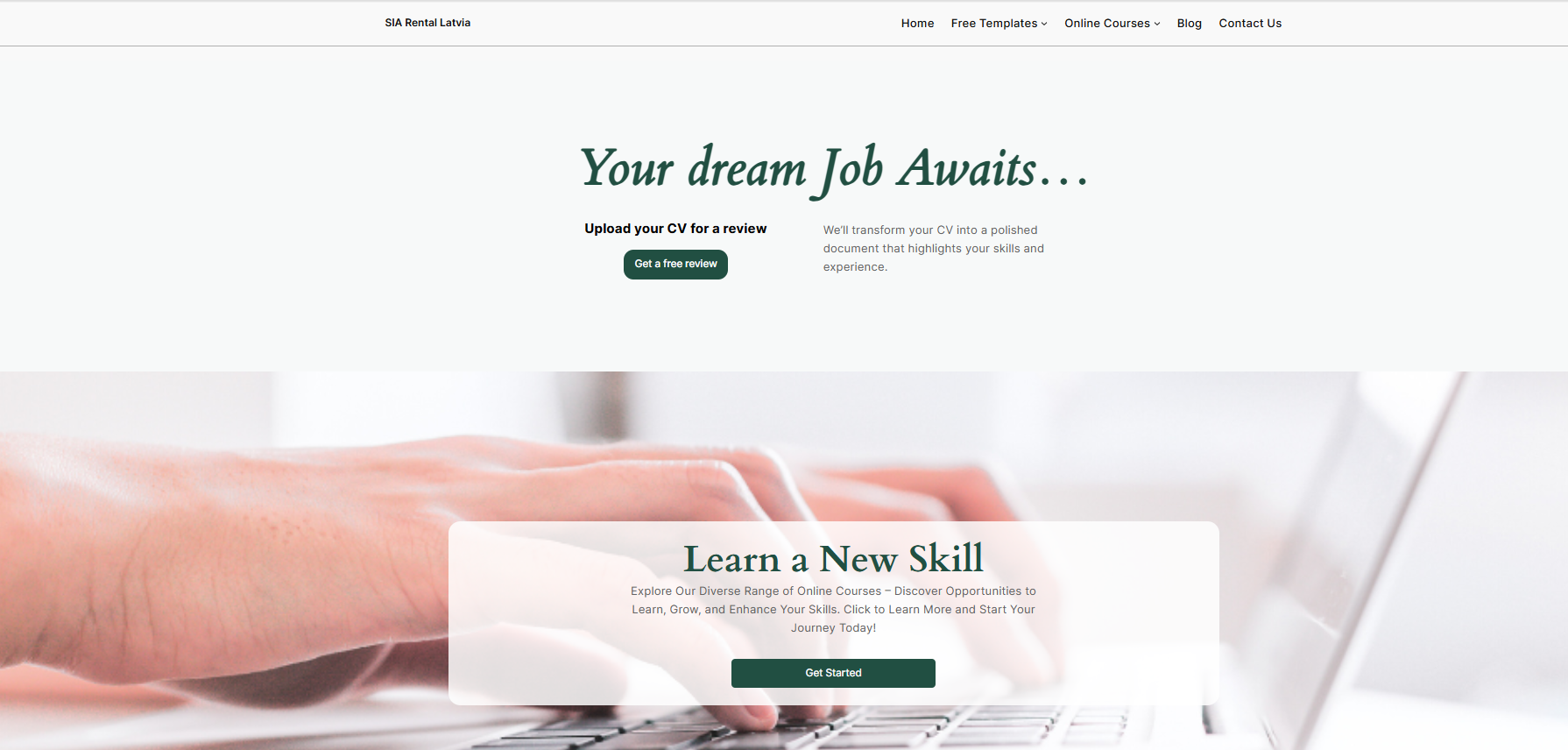 E-commerce homepage large image